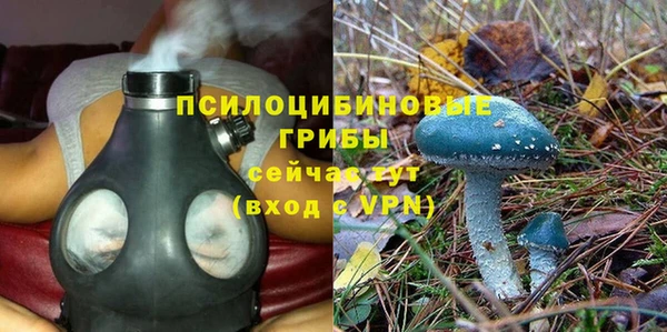 шишки Лиски