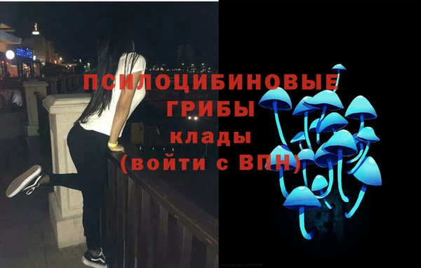 шишки Лиски