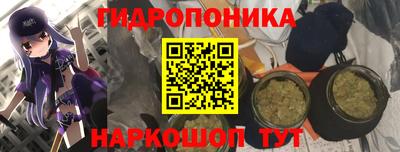 ECSTASY Рыбинск