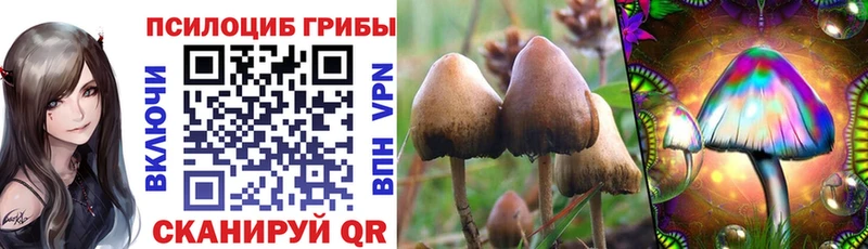 Галлюциногенные грибы ЛСД Оренбург