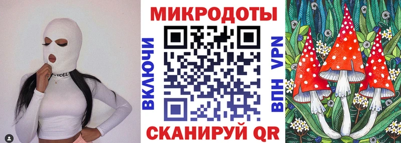 купить  цена  блэк спрут   Псилоцибиновые грибы Magic Shrooms  Оренбург 