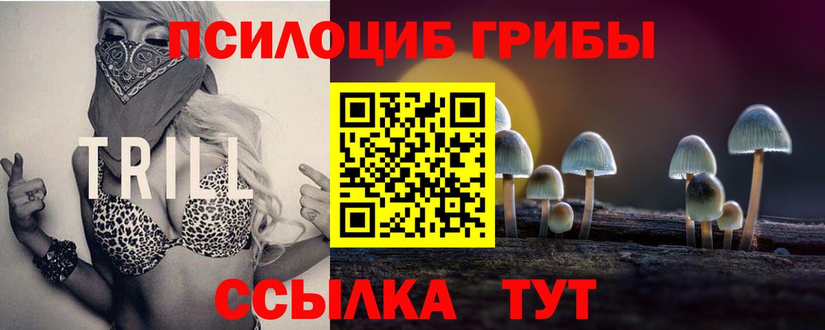Галлюциногенные грибы Psilocybine cubensis  Вход с VPN  Псилоцибиновые грибы Cubensis  где найти наркотики  Оренбург 