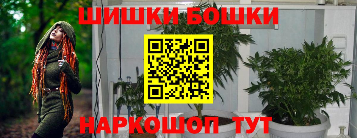Каннабис OG Kush Оренбург